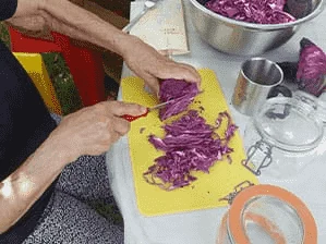 Photo d'un atelier lactofermentation