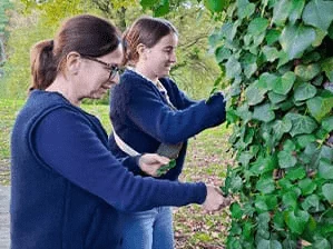 Photo d'un atelier lessive au lierre