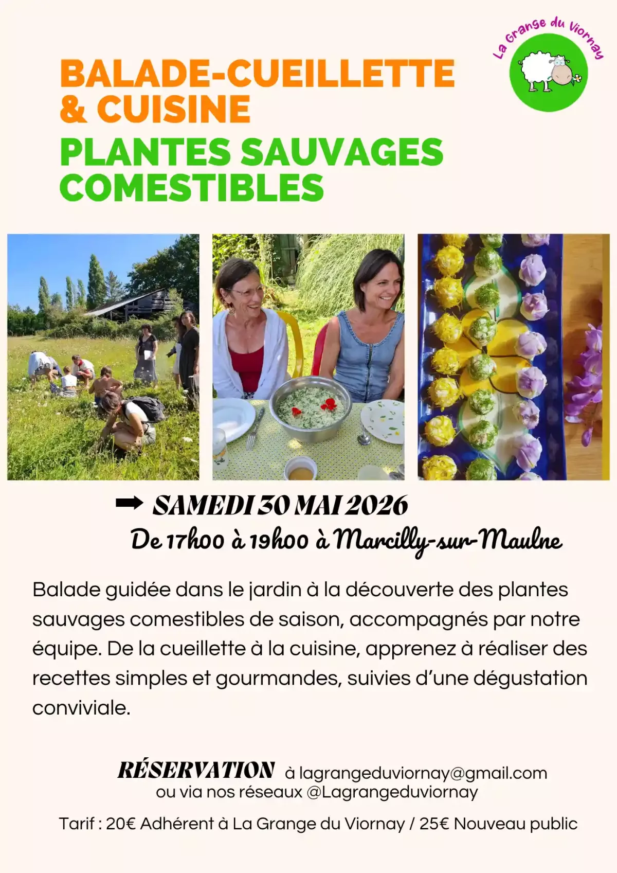 Affiche d'un événement local et gratuit dans le 37 Indre et Loire Cuisine plantes sauvages comestibles