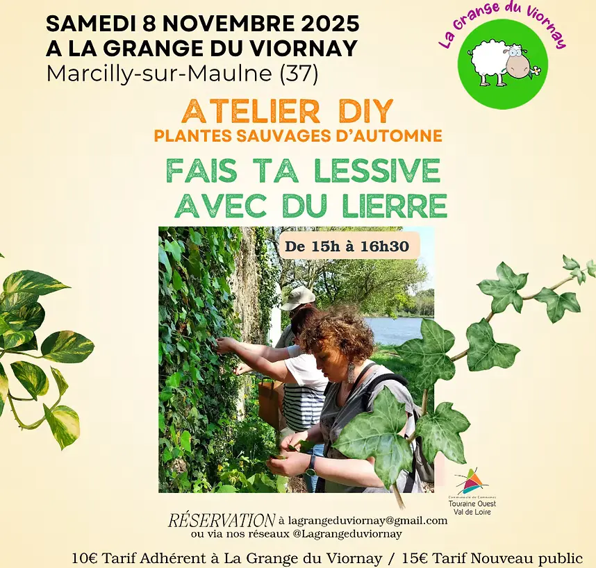 Visuel pour un atelier pour apprendre à faire sa lessive au lierre