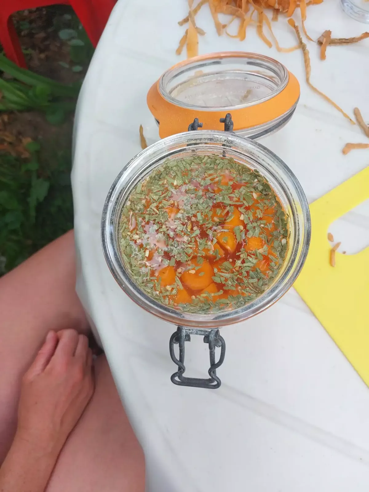 photo de l'atelier lacto-fermentation 