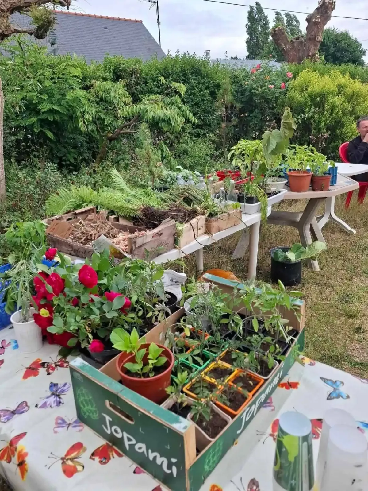 photo de l'événement Troc bocal et plants