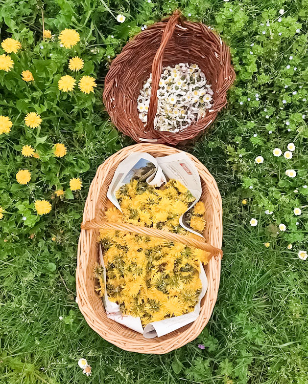 Photo d'un panier en osier rempli de fleurs sauvages