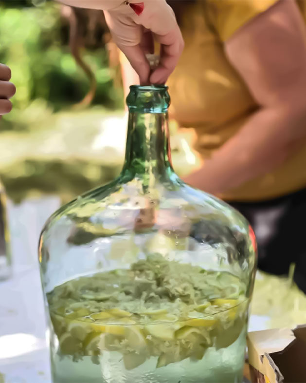 Photo de la préparation d'une limonade artisanale maison aux fleurs de sureaux sauvages